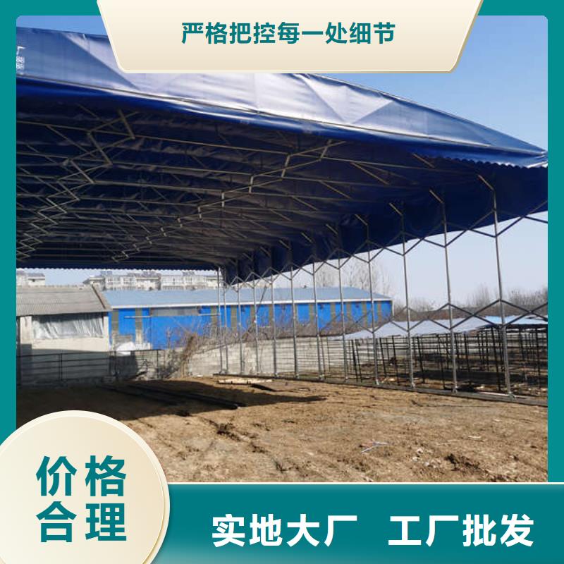 遮阳篷视频-遮阳篷(舜鑫)覆盖地域辽宁省本溪市溪湖|南芬|朝阳|葫芦岛|盘锦|辽阳|沈阳|丹东