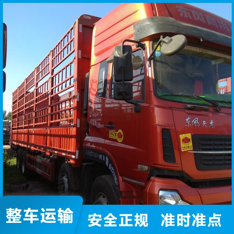 成都到华尔网货运公司专线视频-成都到华尔网货运公司专线|吉林省通化市|梅河口|二道江|四平|延边|辽源|吉林