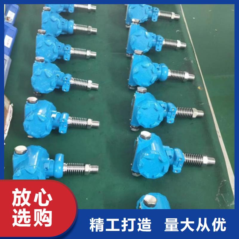 热电偶智能数字显示调节仪厂家设备齐全支持定制