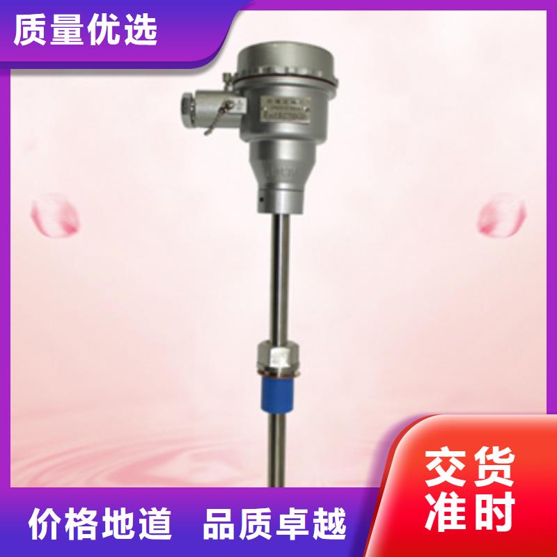 LD981-A11-B03-C03-D02-E25-F80-G0厂家【多图】