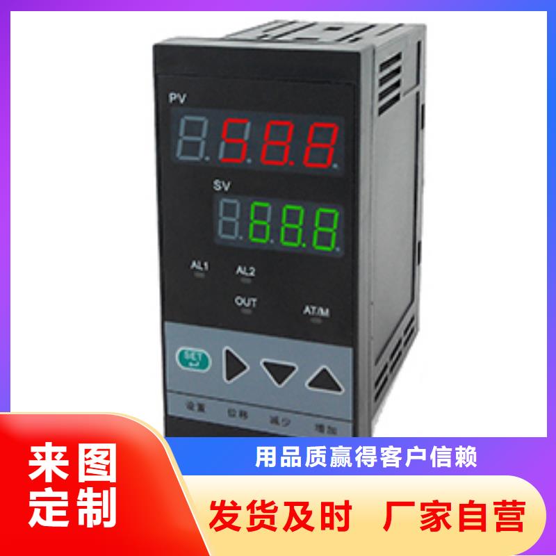 热电偶温度仪表专注生产N年