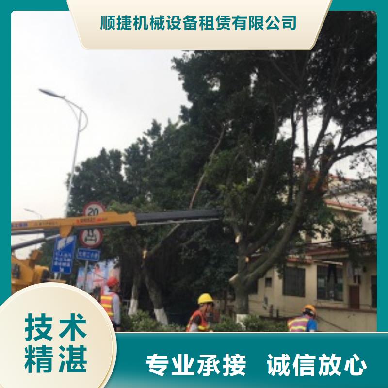 升降车,【路灯车】讲究信誉-顺捷机械设备租赁(蚌埠市分公司)