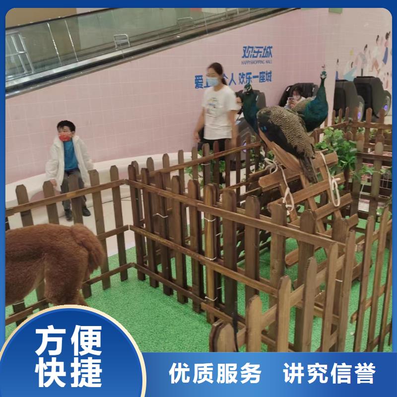 马戏团/羊驼海狮表演租赁诚信放心