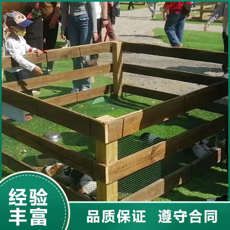 马戏团/羊驼-【出租企鹅表演】服务热情