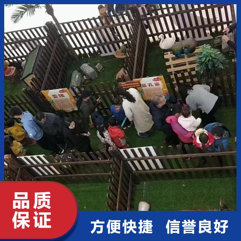 马戏团/羊驼-草泥马羊驼租赁实力商家