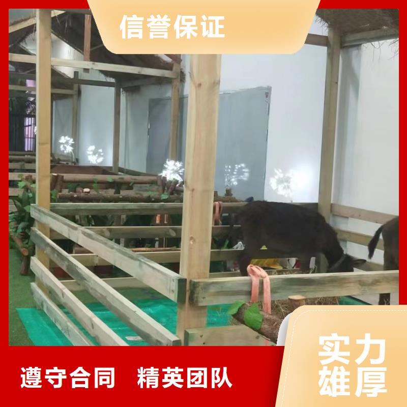 马戏团/羊驼,商场马戏表演出租高品质