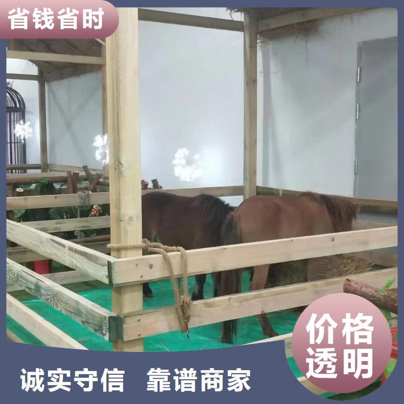 马戏团/羊驼出租表演海狮随叫随到