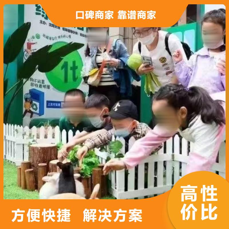 马戏团/羊驼鹦鹉表演效果满意为止
