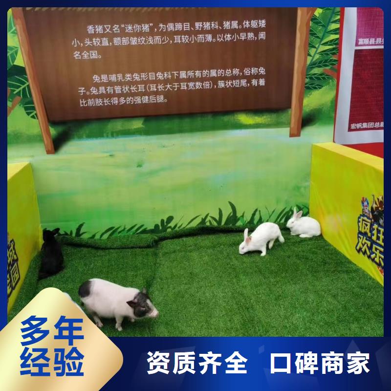 马戏团/羊驼 【【海狮表演出租】】服务周到