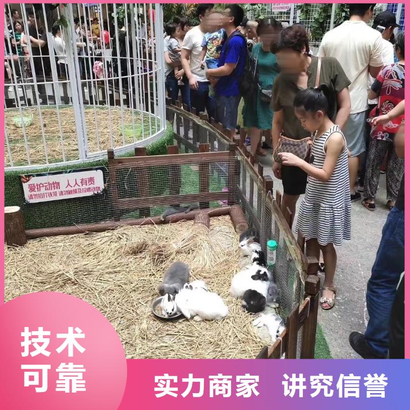 【马戏团/羊驼】环球飞车表演出租放心之选