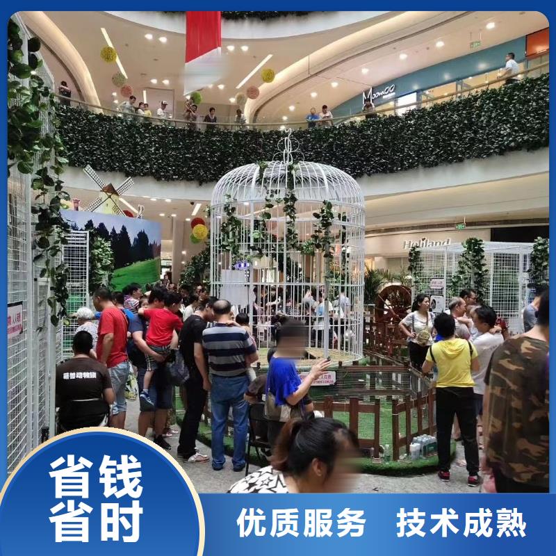 马戏团/羊驼马戏团表演服务周到