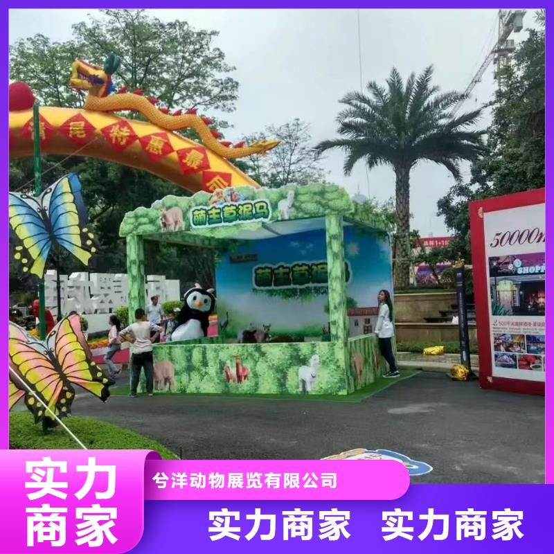 【马戏团/羊驼】,【出租企鹅表演】服务至上