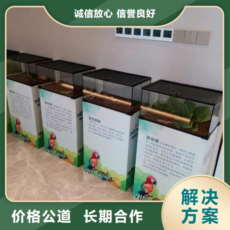 马戏团/羊驼马戏团表演出租正规团队