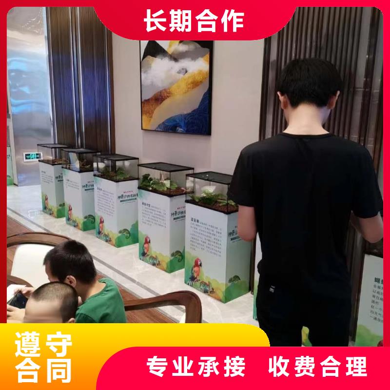 马戏团/羊驼驯兽表演专业可靠