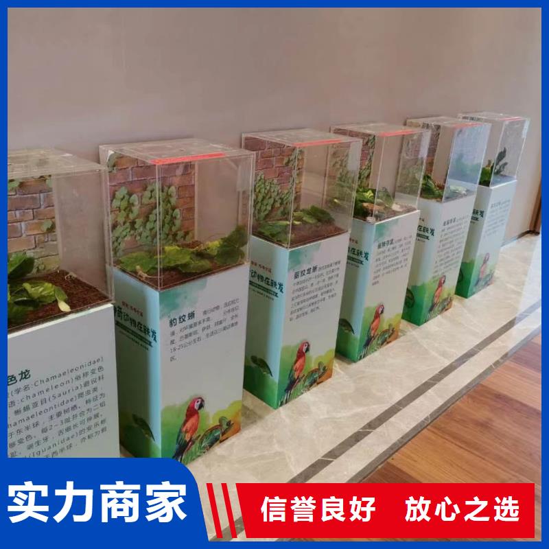 马戏团/羊驼出租表演萌宠欢迎询价