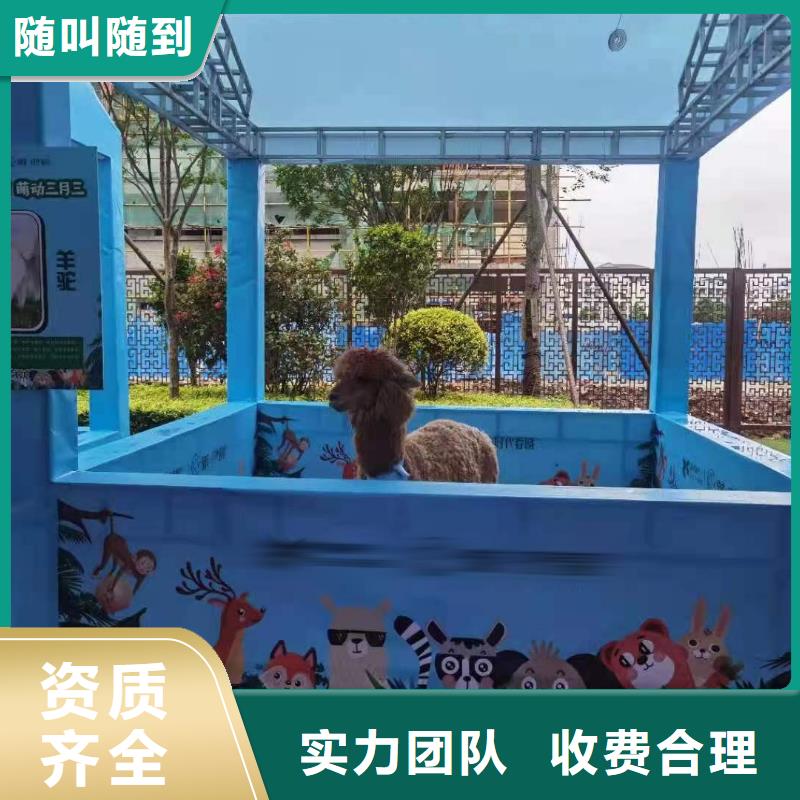 【马戏团/羊驼驯兽表演24小时为您服务】