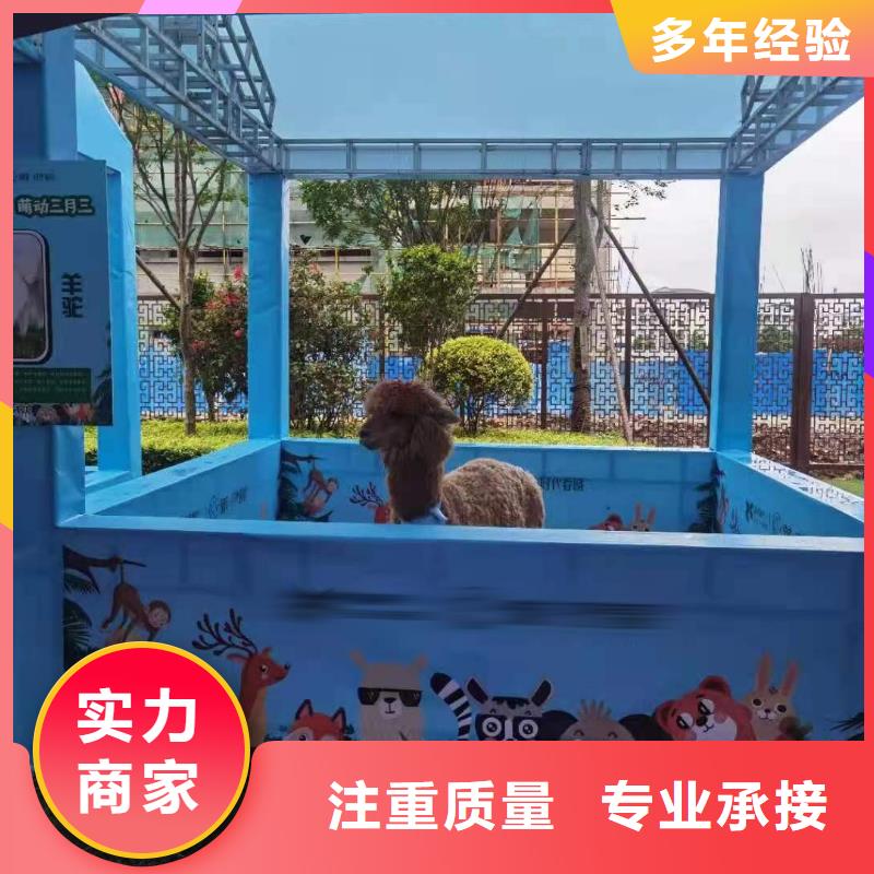 马戏团/羊驼马戏团表演出租租赁随叫随到