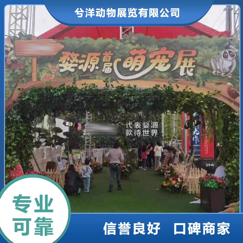 【马戏团/羊驼小香猪宠物出租快速响应】