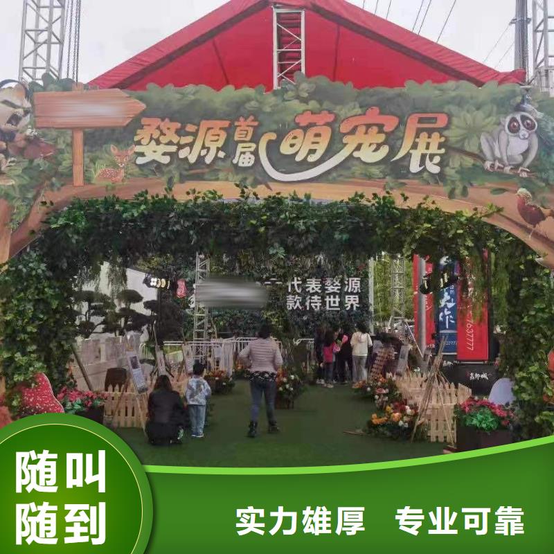 马戏团/羊驼出租动物表演专业