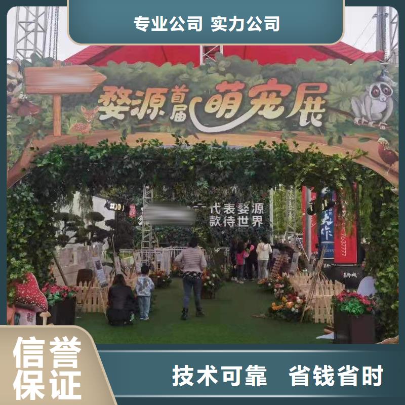 马戏团/羊驼-观赏性羊驼租赁实力公司