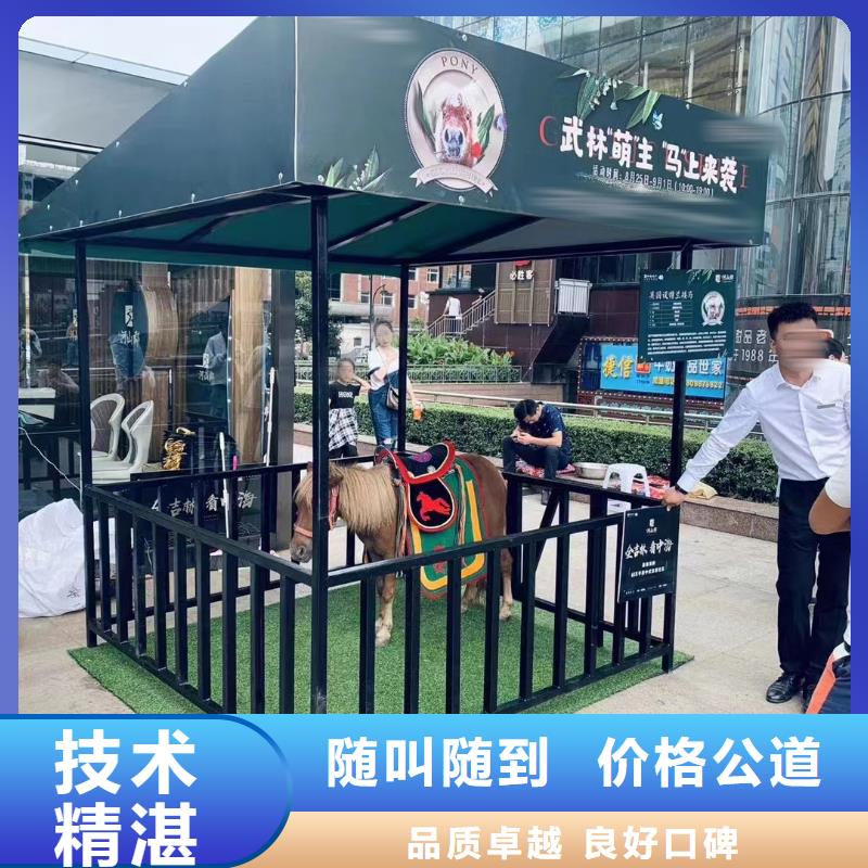 马戏团/羊驼马戏团表演出租多家服务案例