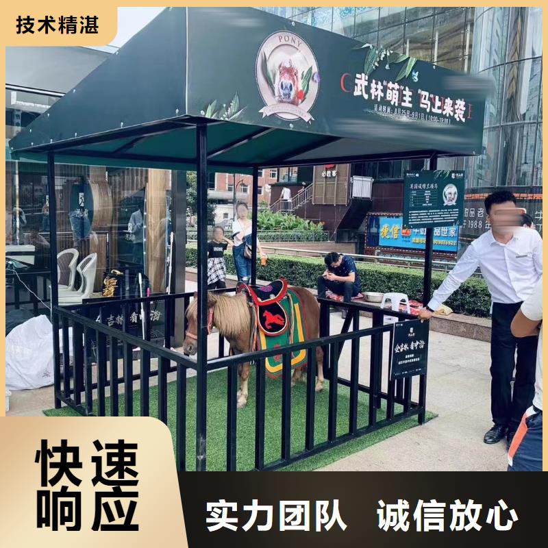 马戏团/羊驼,景区杂技表演多年经验