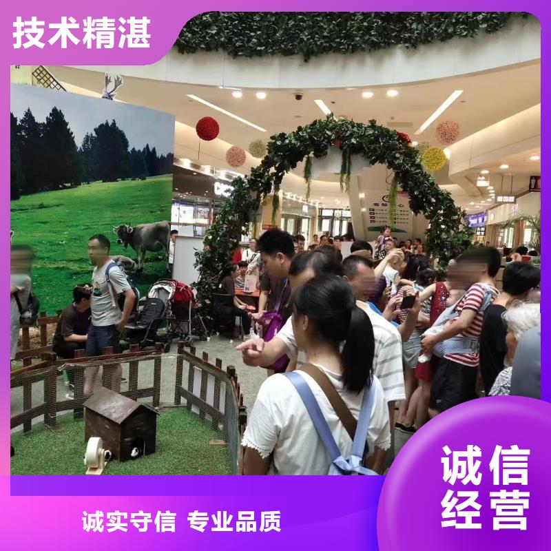 马戏团/羊驼出租表演萌宠