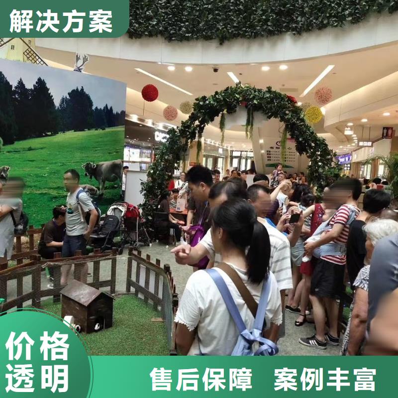 马戏团/羊驼美人鱼表演匠心品质