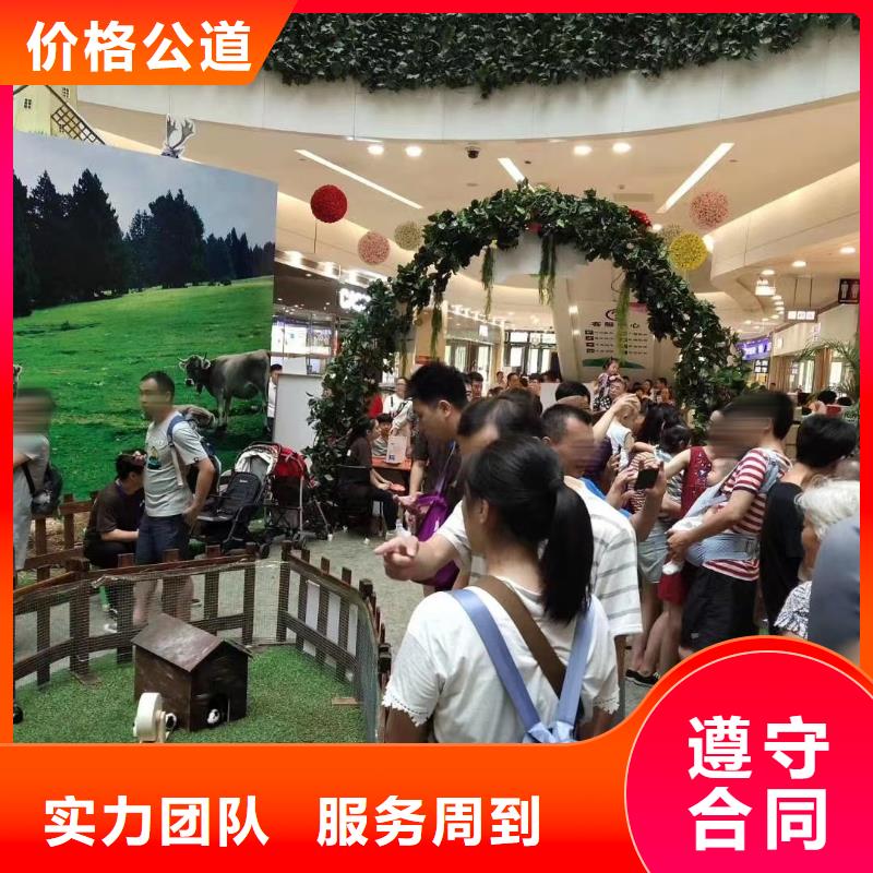 马戏团/羊驼【马戏团表演出租租赁】
