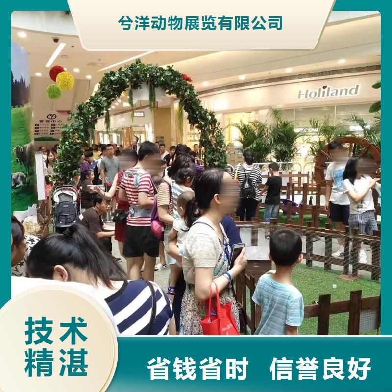 【马戏团/羊驼驯兽表演24小时为您服务】
