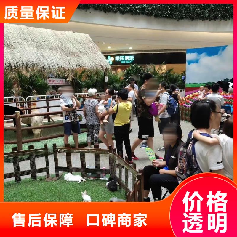 马戏团/羊驼海狮表演出租长期合作