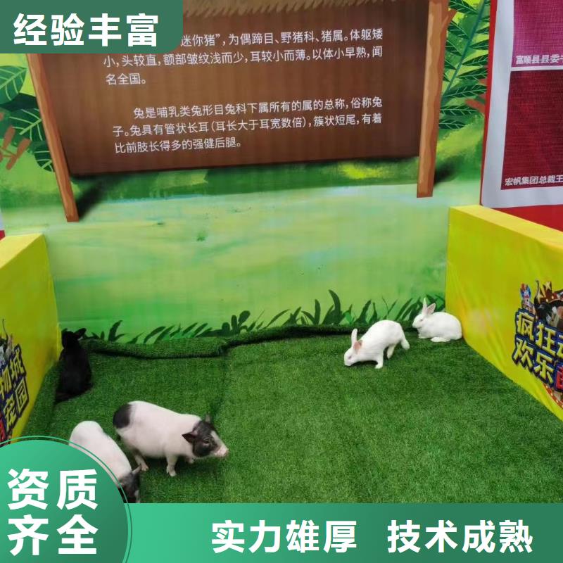 马戏团/羊驼-【出租企鹅表演】服务热情