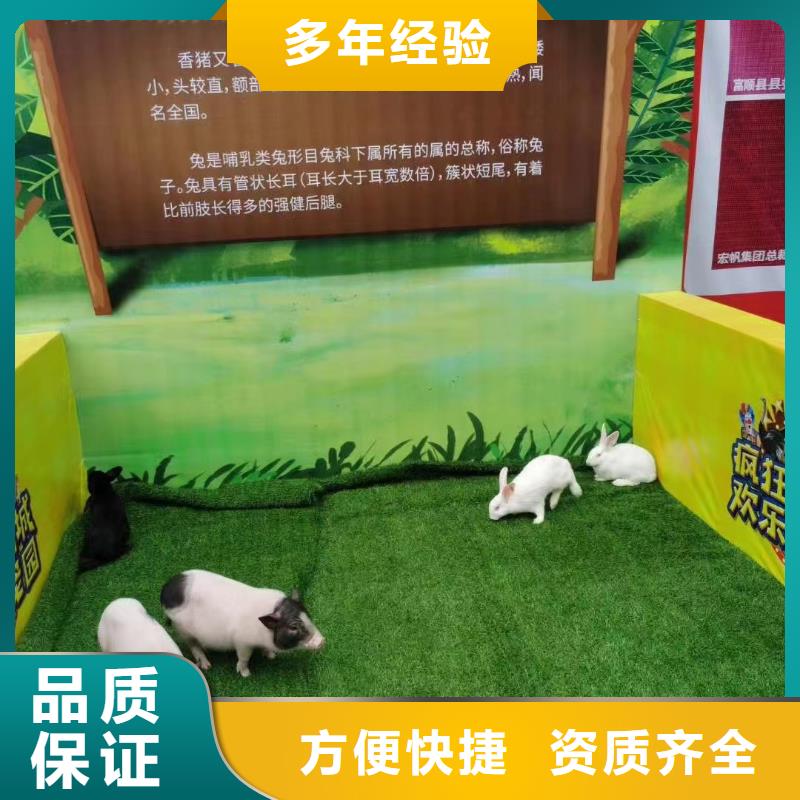 【马戏团/羊驼】企鹅租赁多年行业经验