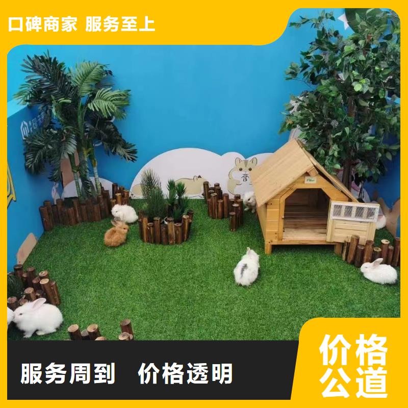 马戏团/羊驼动物杂技表演租赁从业经验丰富
