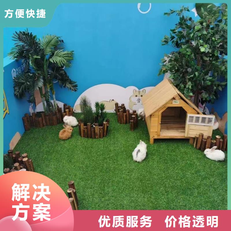 马戏团/羊驼鹦鹉表演效果满意为止