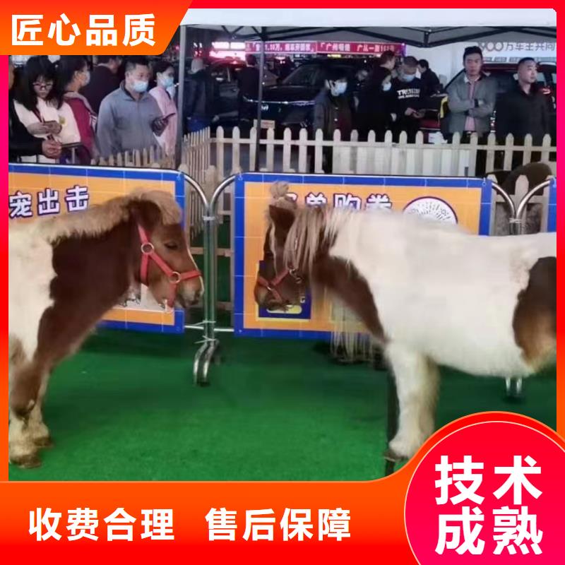 马戏团/羊驼 动物表演租赁24小时为您服务