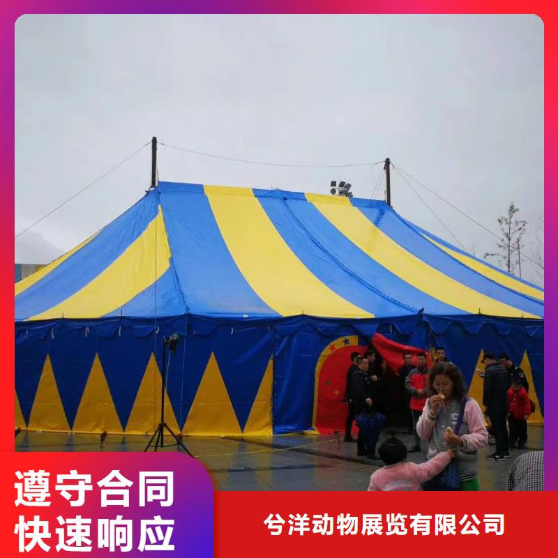 马戏团/羊驼 动物表演租赁24小时为您服务