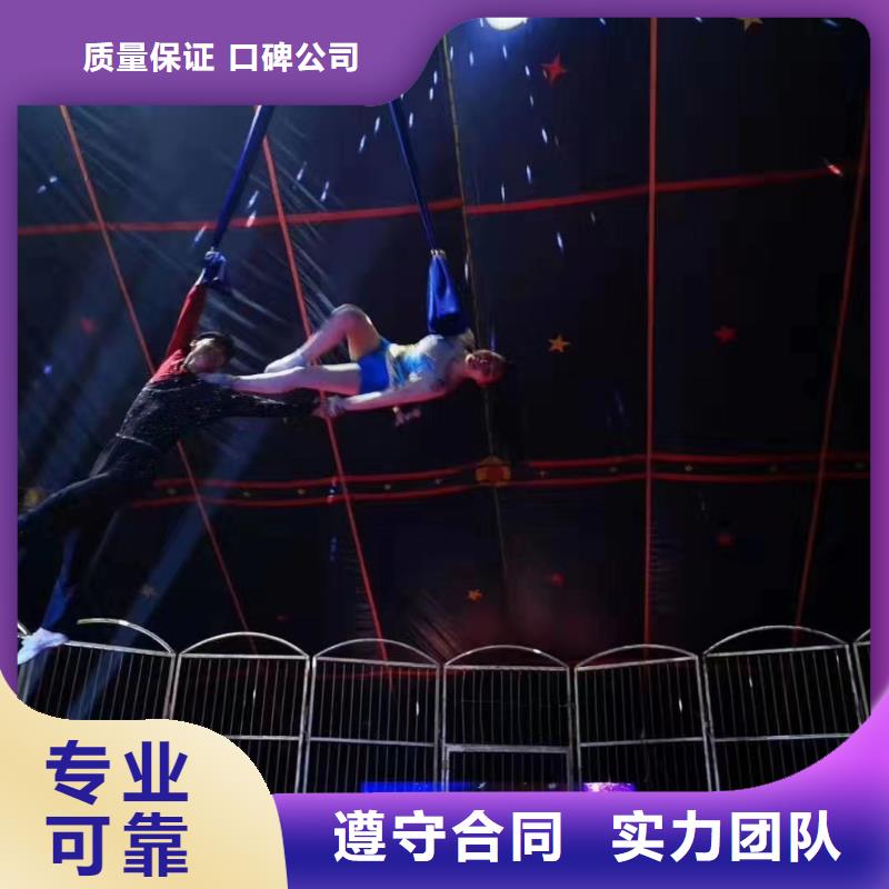 马戏团/羊驼出租动物表演专业