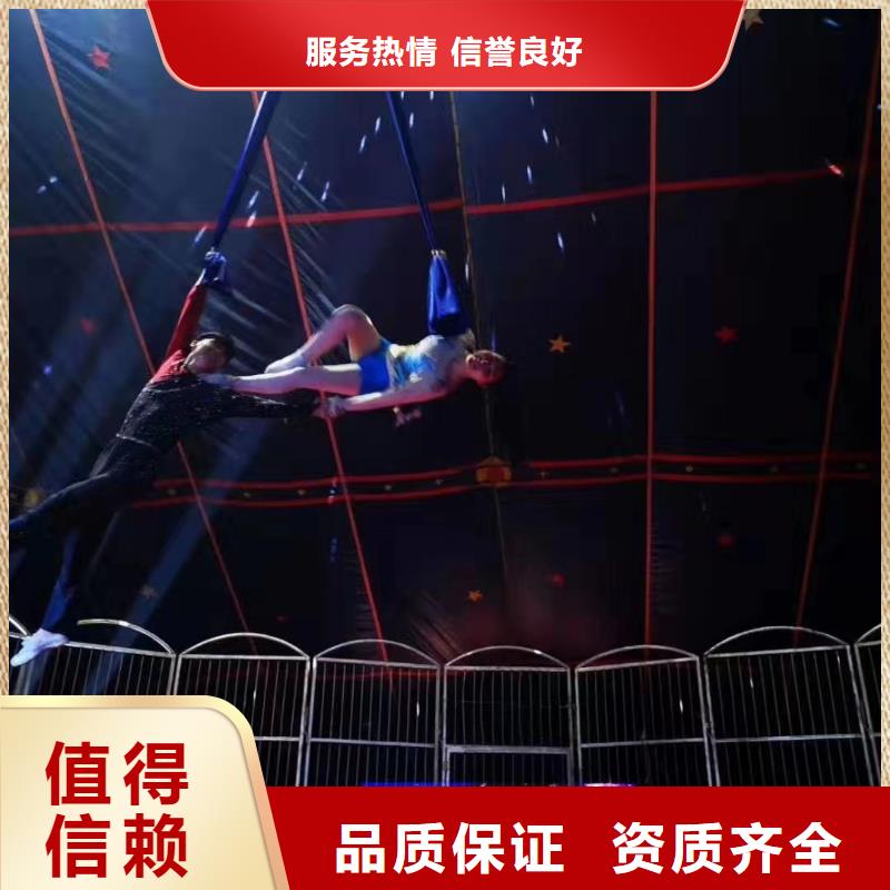 马戏团/羊驼-羊驼出租解决方案