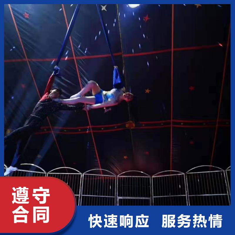 马戏团/羊驼海狮表演出租放心