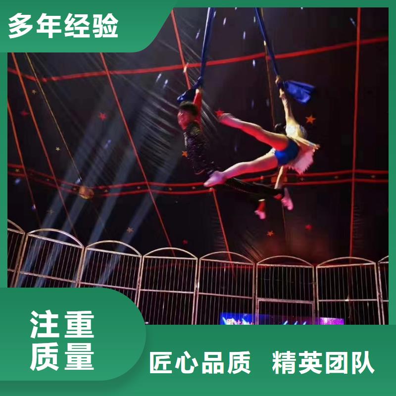 马戏团/羊驼,【马戏团表演出租租赁】齐全