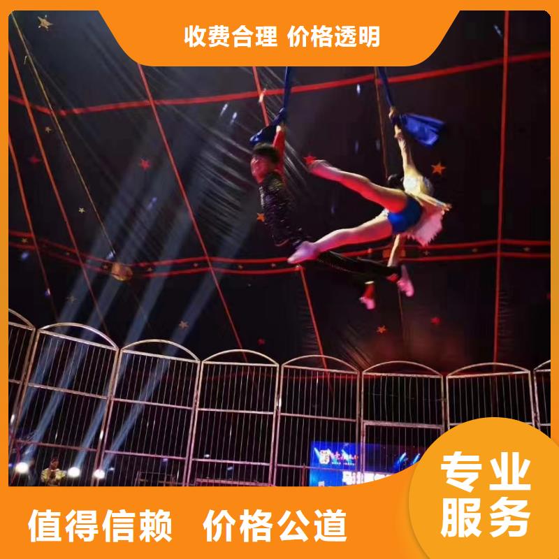 马戏团/羊驼鹦鹉表演专业服务