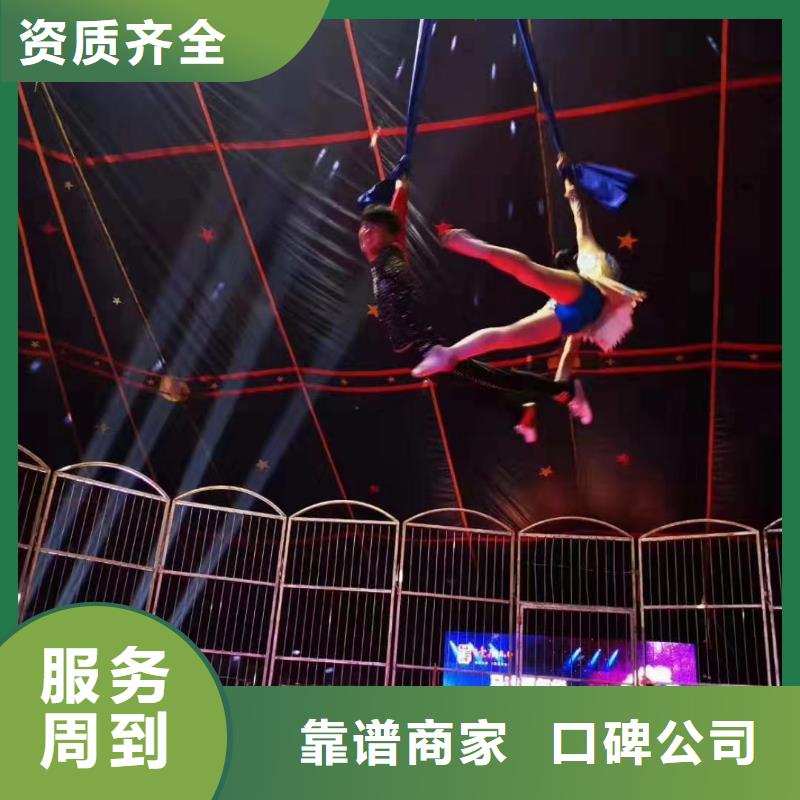 马戏团/羊驼-【出租企鹅表演】服务热情