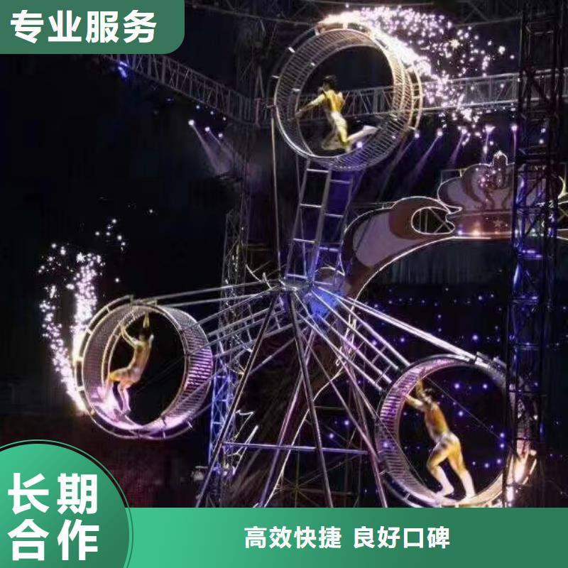 马戏团/羊驼-羊驼出租解决方案