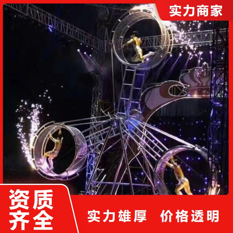 马戏团/羊驼马戏团表演出租多家服务案例