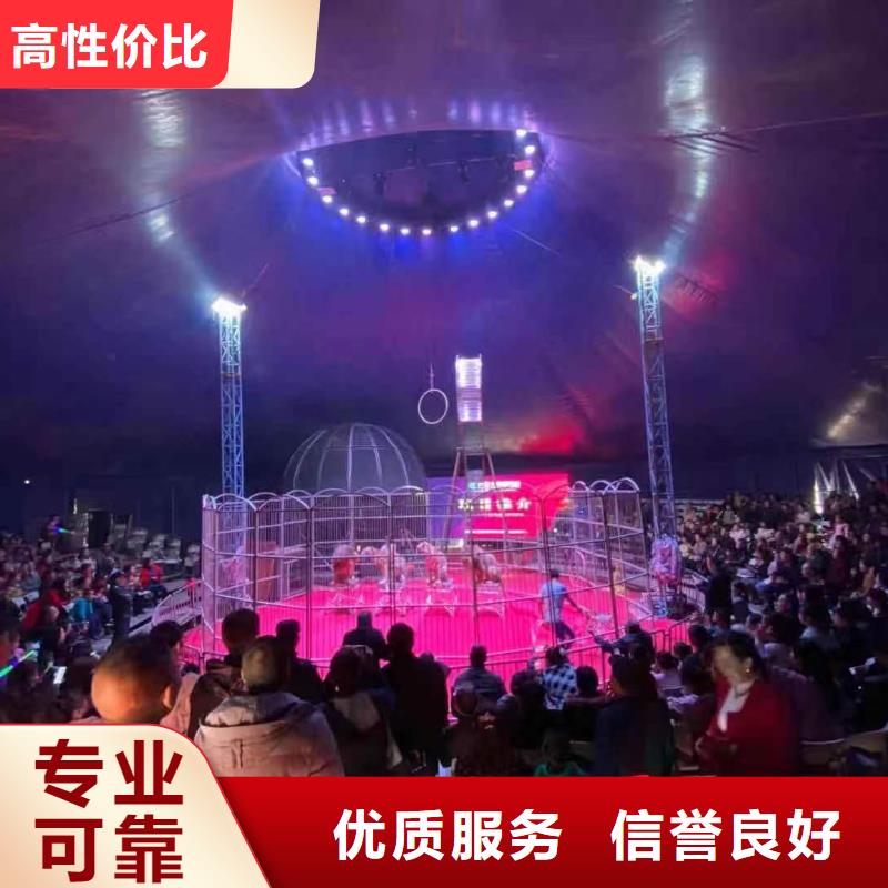 马戏团/羊驼海狮表演出租品质优