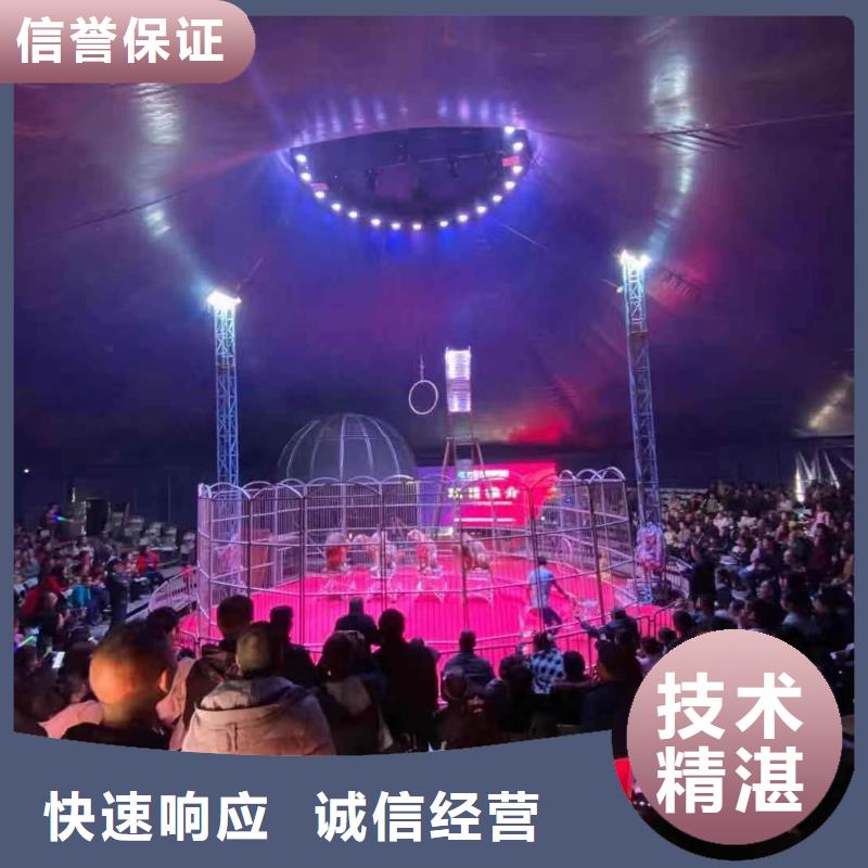 马戏团/羊驼_环球飞车表演出租随叫随到