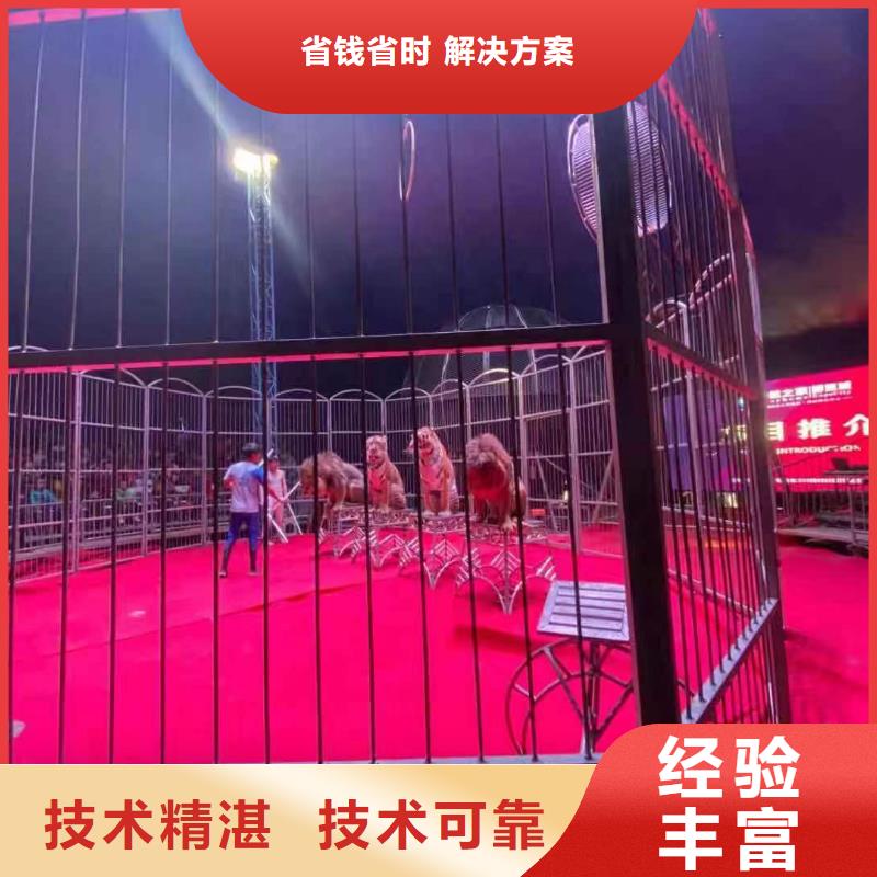 马戏团/羊驼-【出租企鹅表演】服务热情