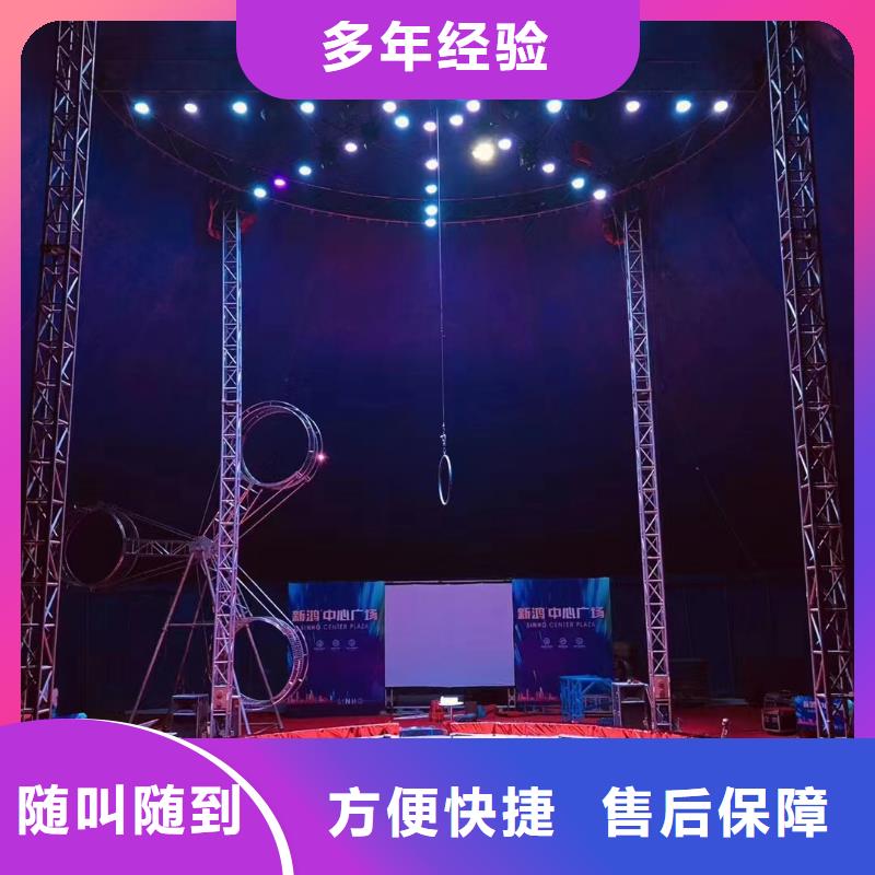 马戏团/羊驼,商场马戏表演出租高品质
