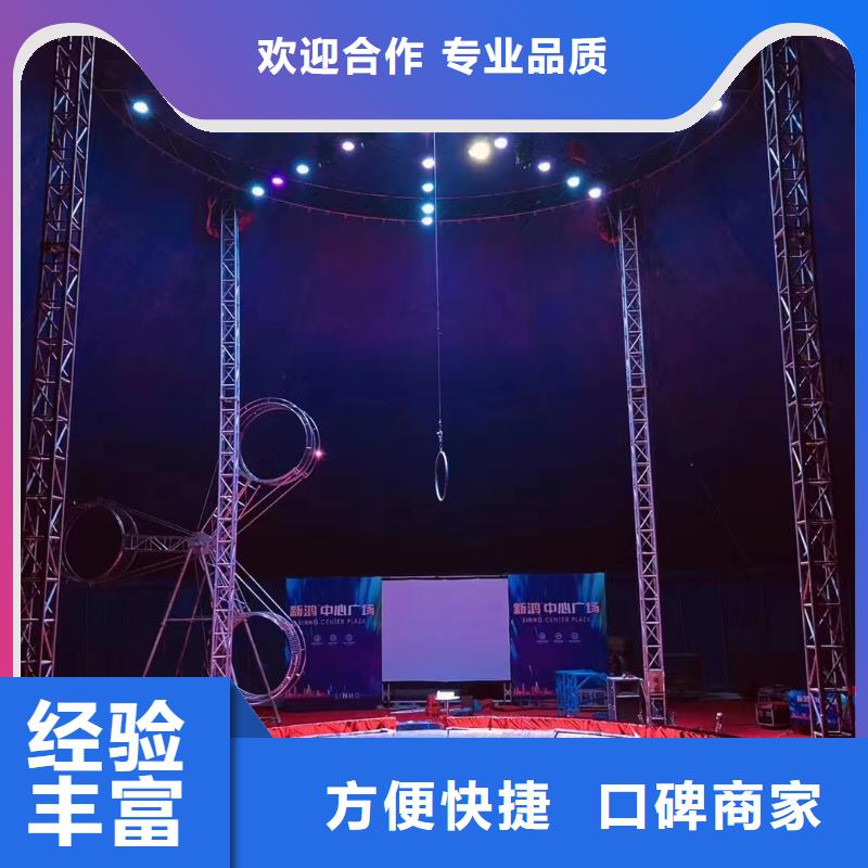 马戏团/羊驼-租赁美人鱼表演比同行便宜